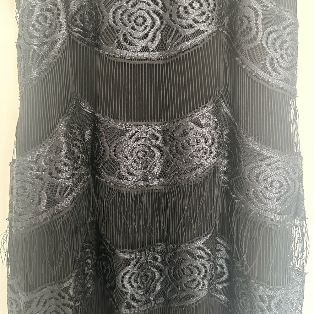 Zac Posen Black Lace Maxi Dress - Picture 2 of 6